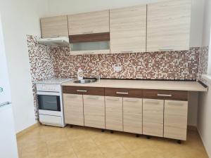 Pronájem bytu 1+1, Ostrava - Moravská Ostrava, Petra Křičky, 41 m2