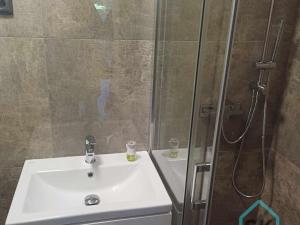 Pronájem bytu 1+1, Holčovice, 42 m2