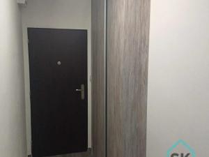 Pronájem bytu 1+1, Holčovice, 42 m2