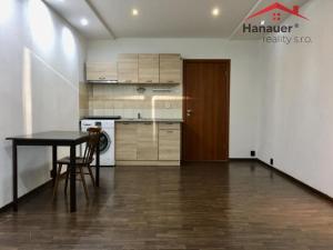 Pronájem bytu 1+kk, Ústí nad Labem - Krásné Březno, Rozcestí, 26 m2