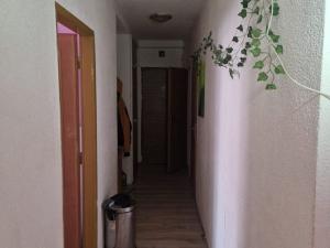 Prodej bytu 3+1, Stráž, 74 m2