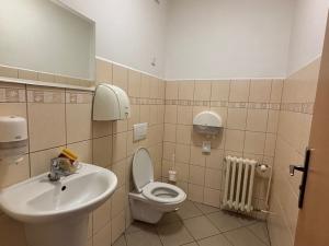 Pronájem kanceláře, Frýdek-Místek - Místek, Pionýrů, 24 m2