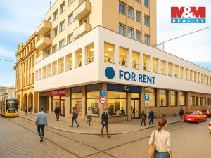 Pronájem obchodního prostoru, Plzeň - Vnitřní Město, Solní, 182 m2