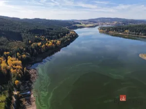 Prodej pozemku, Loučovice - Nové Domky, 1035 m2
