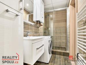 Prodej bytu 2+1, Dalovice - Všeborovice, Dolní, 62 m2