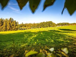 Prodej pozemku pro bydlení, Dubičné, 3914 m2