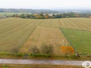 Prodej pozemku pro bydlení, Chocnějovice, 3080 m2