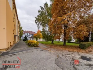 Prodej bytu 2+1, Milevsko, P. Bezruče, 58 m2