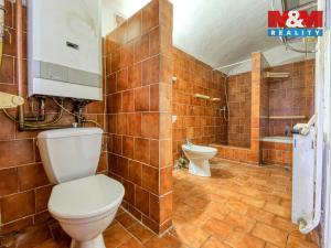 Prodej rodinného domu, Zemětice, 91 m2