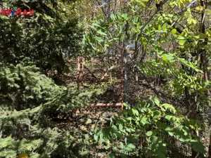 Prodej rodinného domu, Dolní Újezd, 105 m2