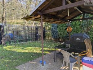 Prodej chaty, Chlumec, U zámeckého rybníka, 16 m2