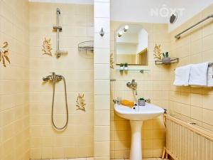 Prodej rodinného domu, Plav, 218 m2