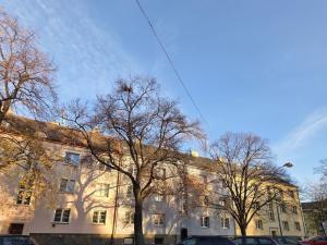 Prodej bytu 3+1, Krnov - Pod Bezručovým vrchem, Nádražní, 58 m2