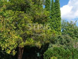 Prodej chaty, Havířov - Prostřední Suchá, 11 m2