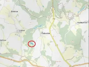 Prodej lesa, Pelhřimov, 11380 m2