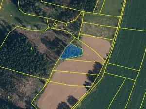 Prodej lesa, Pelhřimov, 1222 m2