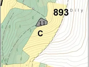 Prodej lesa, Pelhřimov, 1222 m2