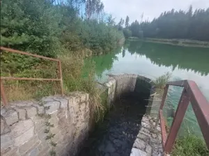 Pronájem rybníku, Komárovice, 9025 m2