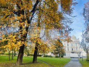 Prodej bytu 3+1, Ostrava, Mariánskohorská, 68 m2