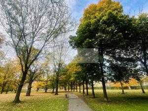 Prodej bytu 3+1, Ostrava, Mariánskohorská, 68 m2