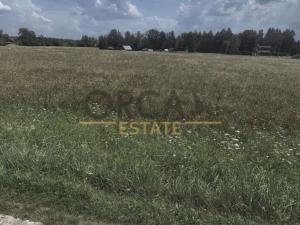 Prodej louky, Jetětice, 35942 m2