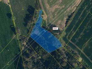 Dražba louky, Olešná, 3211 m2