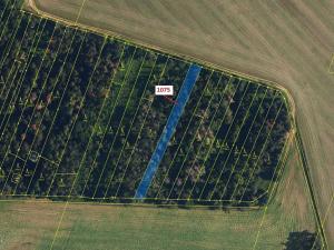 Dražba lesa, Dolní Vilémovice, 1134 m2