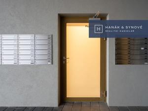 Pronájem bytu 1+kk, Brno, Cejl, 31 m2