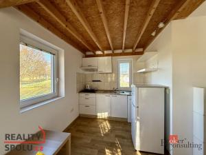 Pronájem atypického bytu, 42 m2