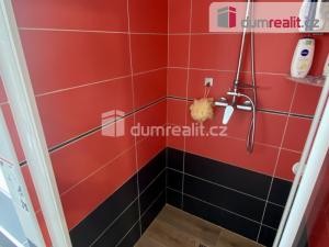 Pronájem rodinného domu, Mariánské Lázně - Hamrníky, třída Vítězství, 400 m2