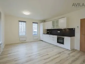 Pronájem bytu 1+kk, Benešov, U Pivovaru, 33 m2