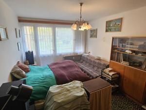 Prodej bytu 2+1, Příbram - Příbram VII, Gen. Kholla, 70 m2