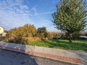 Prodej pozemku pro bydlení, Dřetovice, 919 m2