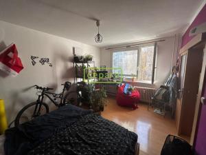 Prodej bytu 1+1, Liberec, Broumovská, 35 m2