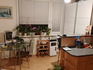 Prodej bytu 1+1, Liberec, Broumovská, 36 m2