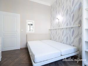 Pronájem bytu 2+kk, Praha - Vinohrady, Na Kozačce, 52 m2