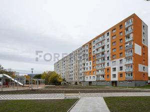 Pronájem pokoje, Pardubice, K Rozvodně, 12 m2