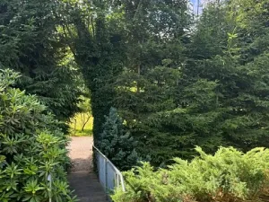 Prodej chalupy, Dlouhý Most, 60 m2