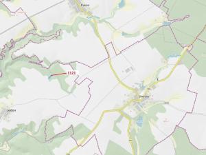 Dražba lesa, Náměšť nad Oslavou, 2998 m2