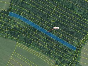 Dražba lesa, Milavče, 4689 m2