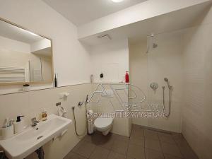 Pronájem bytu 1+1, České Budějovice, Nová, 47 m2