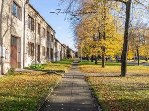 Prodej ordinace, Olomouc, Selské nám., 270 m2