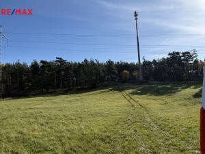 Prodej louky, Nečín, 16453 m2