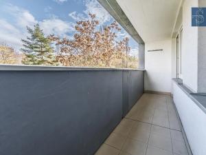 Prodej bytu 2+1, Praha - Žižkov, Habrová, 51 m2