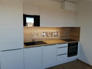 Pronájem bytu 3+kk, České Budějovice - České Budějovice 5, Fr. Škroupa, 66 m2