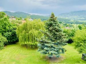 Prodej vícegeneračního domu, Třebušín, 750 m2