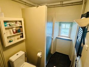 Prodej vícegeneračního domu, Třebušín, 750 m2