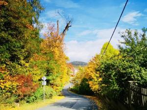 Prodej vícegeneračního domu, Třebušín, 750 m2