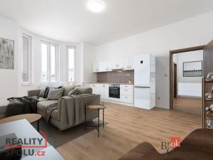 Pronájem bytu 2+kk, Ostrava - Vítkovice, Erbenova, 52 m2