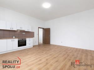 Pronájem bytu 2+kk, Ostrava - Vítkovice, Erbenova, 52 m2